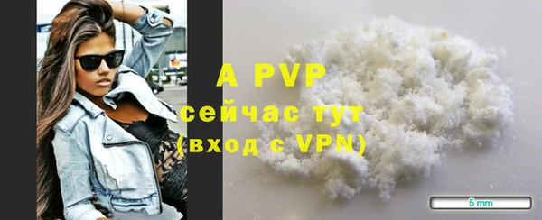 гашик Бердск