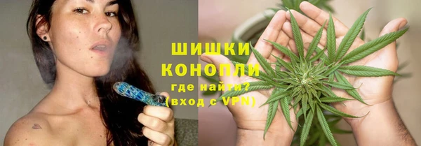 дживик Гусь-Хрустальный