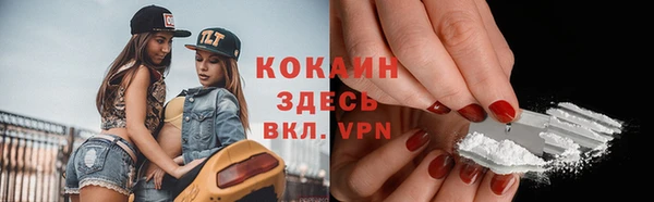 Альфа ПВП Гусев