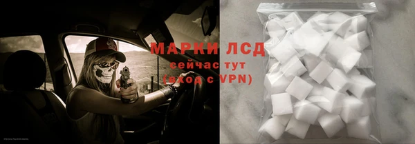 Альфа ПВП Гусев
