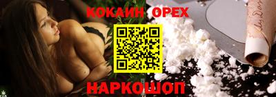 spice Гатчина