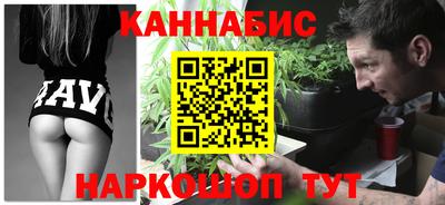 spice Гатчина