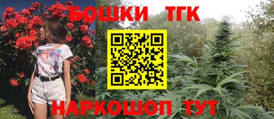 индика Гагарин