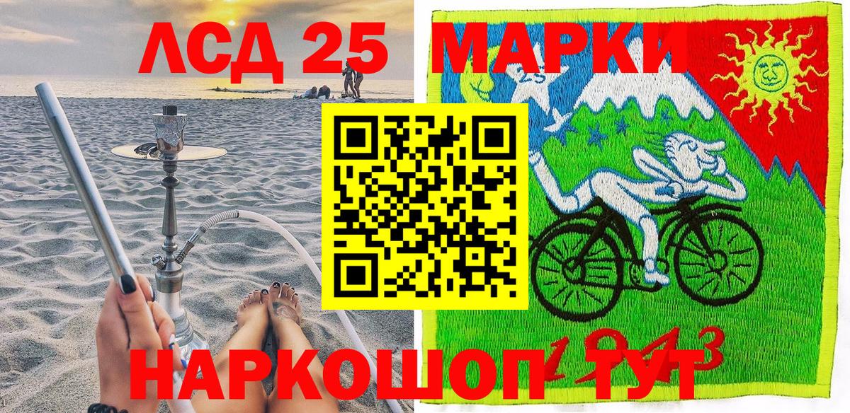 МЕФ Дмитров
