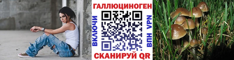 Псилоцибиновые грибы Magic Shrooms  Дмитров 