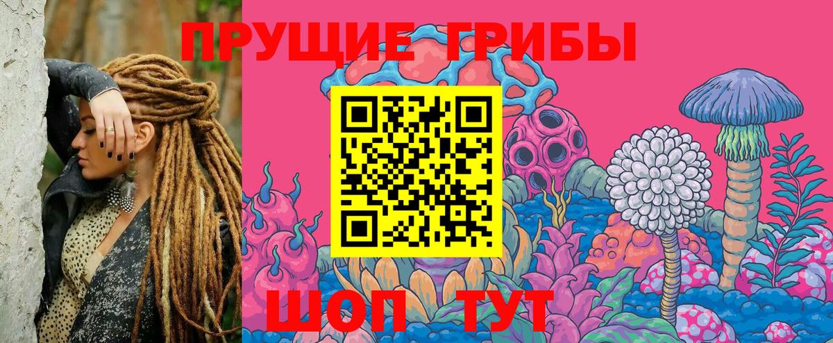 Псилоцибиновые грибы мухоморы Дмитров