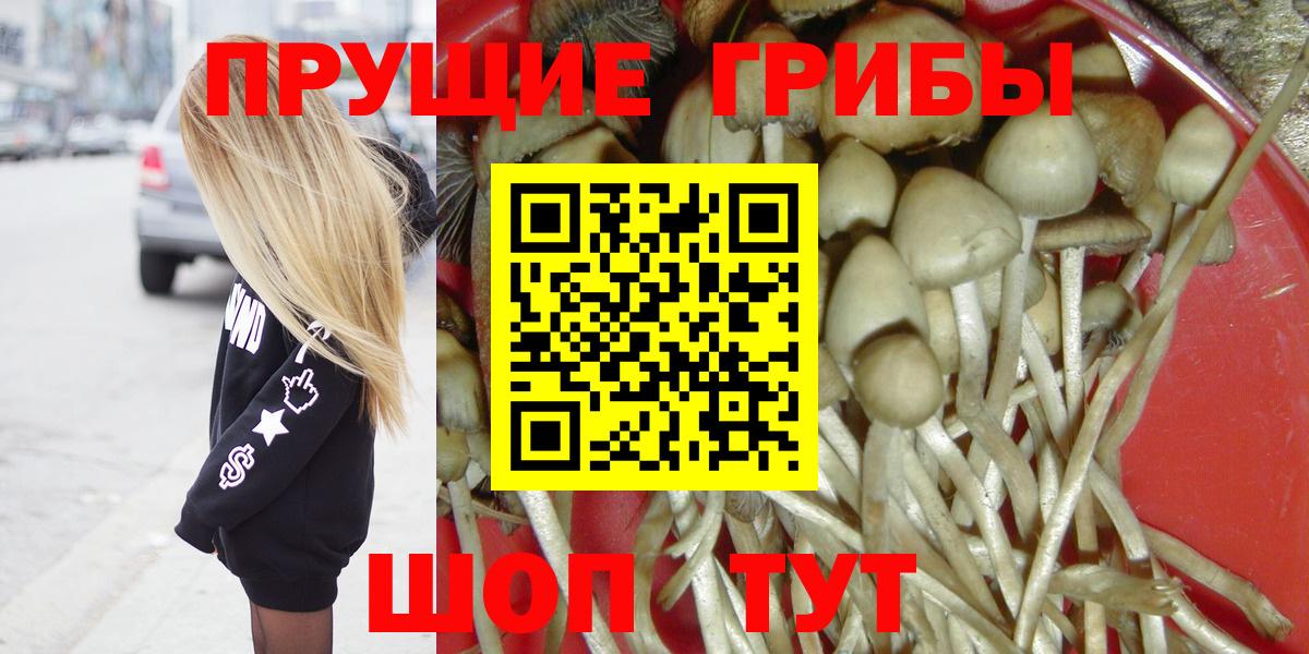 закладка  Псилоцибиновые грибы ЛСД  Вход с VPN  Дмитров 