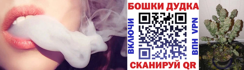 Бошки Шишки планчик  продажа наркотиков  Дмитров 
